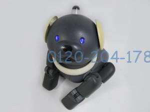 アイボ AIBO
